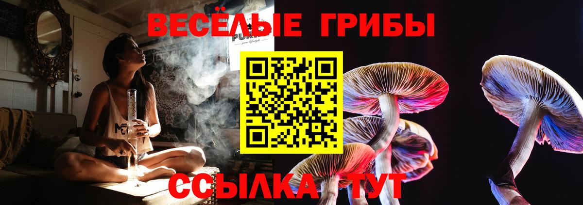 Волгодонск  где можно купить наркотик  Вход с VPN  Галлюциногенные грибы Psilocybe 